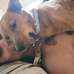 David Gatica - @drgaticah - Instagram
