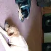 davidbaggatta6 - @davidbaggatta6 - TikTok