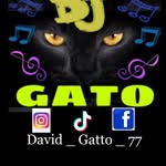 David Gatto - @david_gatto_77 - Instagram