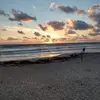 davidgatto62 - @davidgatto62 - TikTok