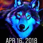 David Gaudet - @davidgaudet8211 - Instagram
