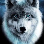 David Gaudet - @gaudet3958 - Instagram