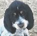 David Gaudin - Facebook