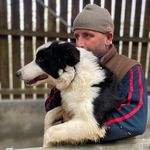 David Gauld - @daylesforddave - Instagram