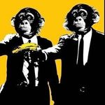 David Gaule - @chasing_the_red_pill - Instagram