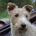 David Gaume - Facebook