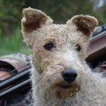 David Gaume - @petitgaume - Instagram
