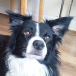 David Gausden - @david.gausden.3 - Instagram
