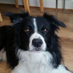 David Gausden - Facebook