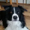 davidgausden267 - @davidgausden267 - TikTok