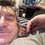 David Gaver - @dbgsf1 - Instagram