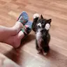 David Gaverdov - @davidgaverdov - TikTok