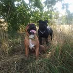 David Gavin - @david.gavin.5872 - Instagram