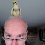 David Gavin - @david.gavin.718 - Instagram