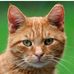 David Gayton - Facebook