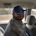 David Gayton - Facebook