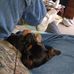 David Gayton - Facebook