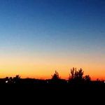 David Gazda - @ppqpro - Instagram