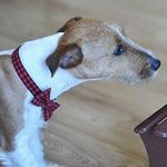Dawid Gazda - @david_gazda_ - Instagram