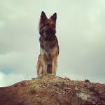 David rafael gdaniec - @david.gdaniec2 - Instagram
