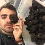 David Gé Truffe Extra France / Aléna - @david_ge_alena - Instagram
