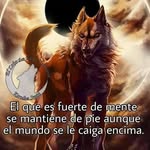 David Lopez - @david_gears1 - Instagram