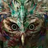 DavidGearSolid - @davidgearsolid - TikTok