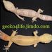 David Leopardgeckos Geck - Facebook
