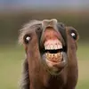 david - @davidgeddie0 - TikTok