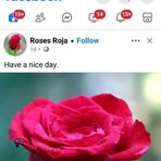 David Jack - Facebook