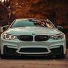 David Geles - @david.geles - TikTok