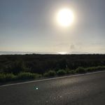 David Geenen - @d.geenen - Instagram
