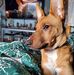 David Geier - Facebook