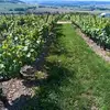 David Geoffroy - @david.geoffroy419 - TikTok