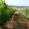 davidgeoffroy890 - @davidgeoffroy890 - TikTok