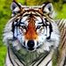 David Geraci - Facebook