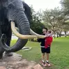 David - @david.gerber_ - TikTok