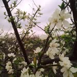 David Gerber - @davidgerber7 - Instagram