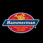 David GERBER - @hammermanparis - Instagram