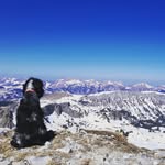 David Gerber - @david.gerber.5015 - Instagram