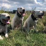David Gerhardt - @gerhardt3356 - Instagram