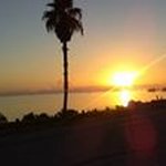 David Gerhardt - @dgerhardt35 - Instagram