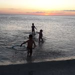 David Gerhardt - @freesurfer82 - Instagram