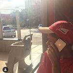 David Gerhardt - @gerhardtdavid_ - Instagram