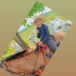 @david_gerhardt_principe_d_agro - Instagram