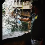 David Germany - @david.germany - Instagram