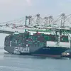 David Phillips - @david.germany33 - TikTok