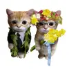 user5411968202879 - @davidgersh - TikTok