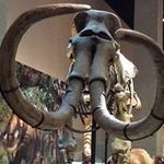 David Getz - @ntrudr - Instagram