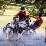 David Getz - @ponypair - Instagram